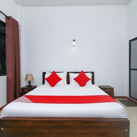 Delphin Hotel نوفارا إيلِيا الغرفة الصورة